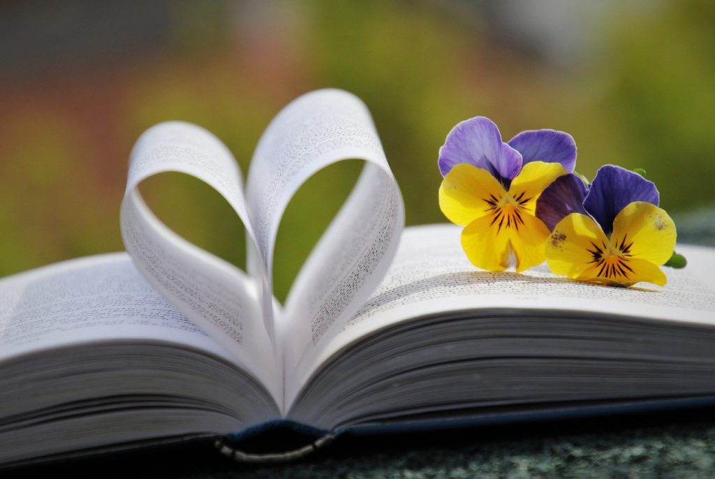 book, heart, pansies